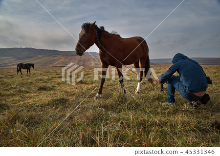 Tourist tourist in a blue sweatshirt with a camera photographs a curious horse. travel concept 45331346
