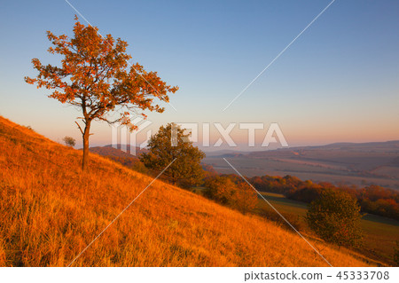 Morning in Central Bohemian Uplands Morning in Central Bohemian Uplands 45333708