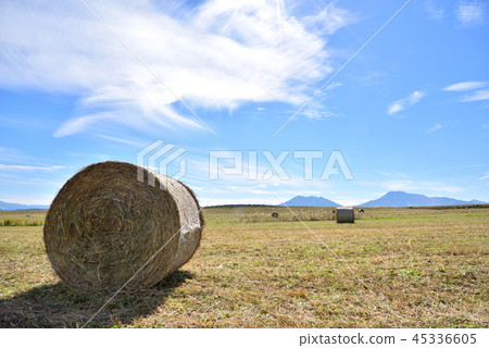 阿蘇秋天風景阿蘇浩大的風景草捲和寬天空阿蘇寬風景 阿蘇秋天風景阿蘇浩大的風景草捲和寬天空阿蘇寬風景 45336605