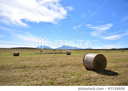 阿蘇秋天風景阿蘇浩大的風景草捲和寬天空阿蘇寬風景 45336606