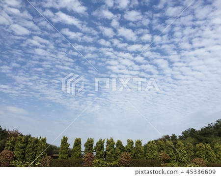 Park and sky 45336609