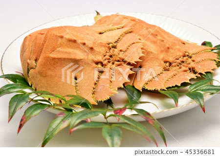 蝦和酸蝦材料背景 45336681