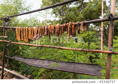 鯨魚乾肉 45336737