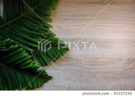 A Christmas tree . 45337349