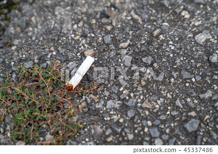 被遺棄的煙草/香煙和禮儀的圖像 45337486