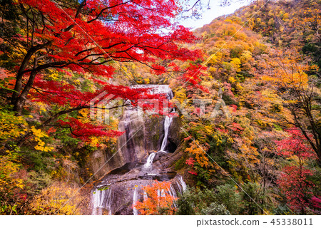 (Ibaraki Prefecture) Fukuda Falls Fall leaves (Ibaraki Prefecture) Fukuda Falls Fall leaves 45338011