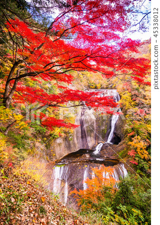 (Ibaraki Prefecture) Fukuda Falls Fall leaves 45338012