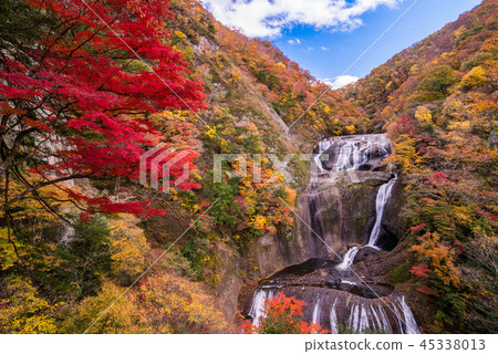 (Ibaraki Prefecture) Fukuda Falls Fall leaves 45338013