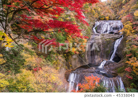(Ibaraki Prefecture) Fukuda Falls Fall leaves 45338043
