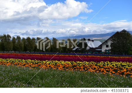 富良野花園 富良野花園 45338371