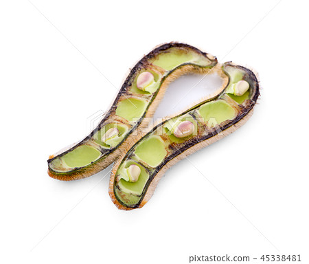 Mucuna pruriens isolated on white background Mucuna pruriens isolated on white background 45338481