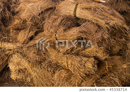 Pile of moss Pile of moss 45338714