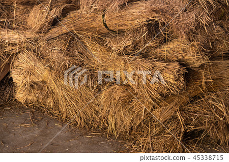 Pile of moss 45338715