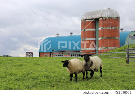 北海道,上川地區,農場風景 北海道,上川地區,農場風景 45339001