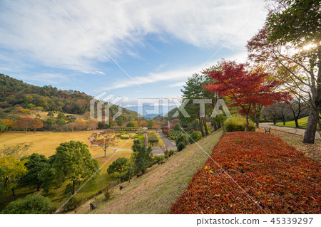 Autumn leaves Tokushima Prefectural Kamiyama Forest Park Ilrosa Forest 45339297