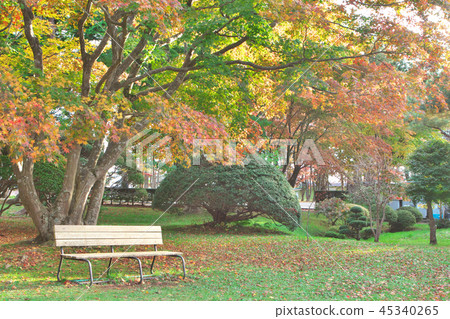 A bench in the autumn leaves 45340265