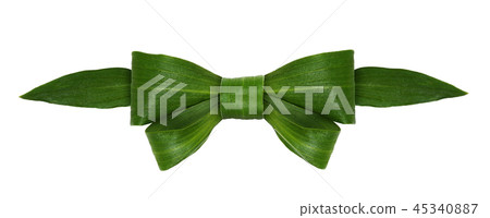 Closeup of green bow from fresh leaves Closeup of green bow from fresh leaves 45340887