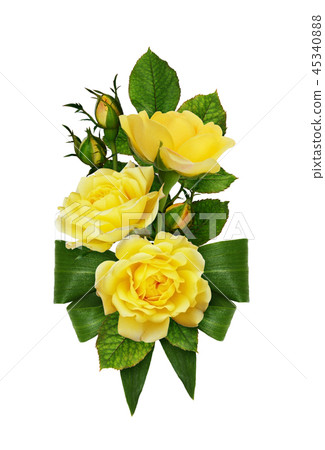 Yellow rose flowers and buds with green bow Yellow rose flowers and buds with green bow 45340888