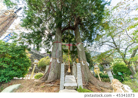Takeo Shrine Marunouchi Takeo Shrine Marunouchi 45341073