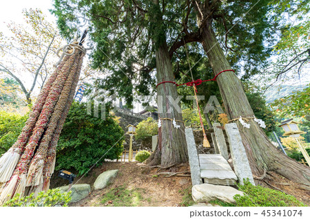 Takeo Shrine Marunouchi 45341074