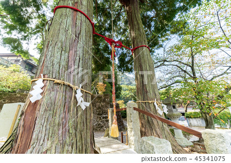 Takeo Shrine Marunouchi 45341075