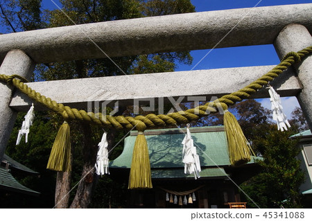 Torii of Gosha Inari Shrine Torii of Gosha Inari Shrine 45341088