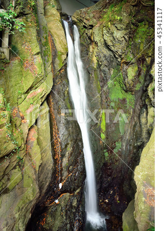 <Hatonosu Valley> Ssoryo Falls(西川多摩川分店)東京西多士郡奧多摩鎮 <Hatonosu Valley> Ssoryo Falls(西川多摩川分店)東京西多士郡奧多摩鎮 45341117