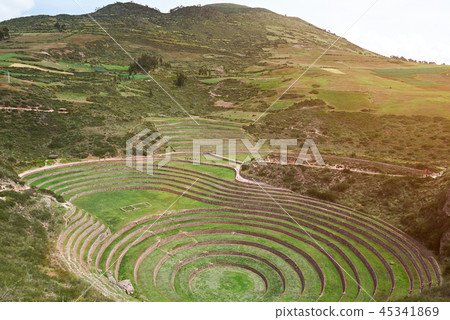 Circle green terraces 45341869