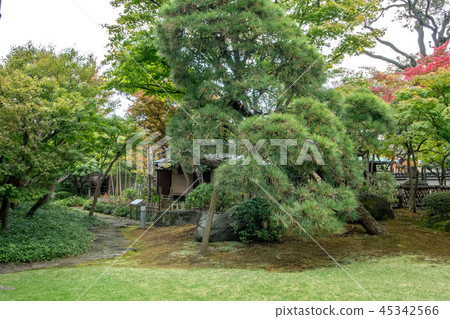 Shinagawa History Museum 45342566