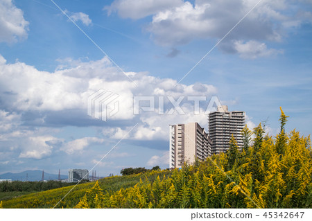 Solidada Awadachiso and an apartment 45342647