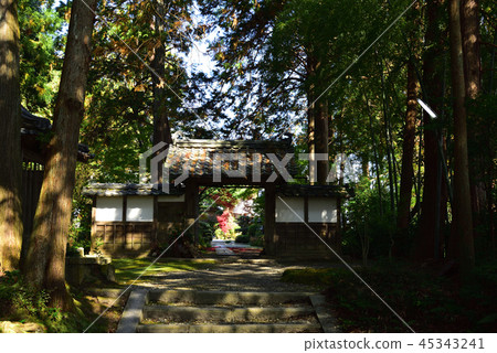 龜岡市龍禪寺三門和藍天 龜岡市龍禪寺三門和藍天 45343241