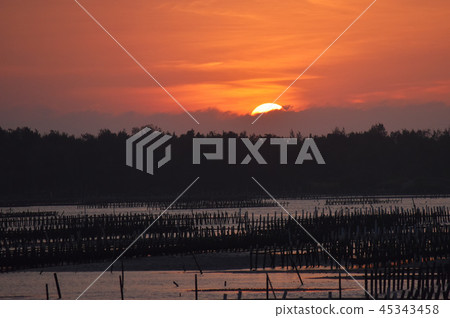 海濱般的Shibata Yu Yutaka Hajime Rei。 海濱般的Shibata Yu Yutaka Hajime Rei。 45343458