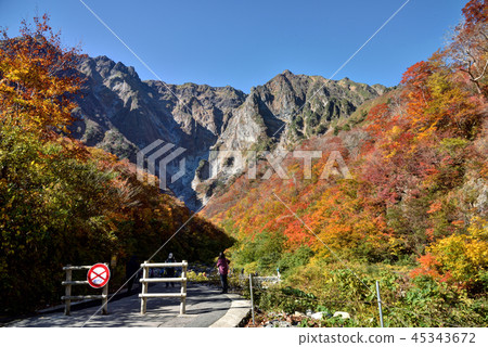群馬縣水上町秋天Tanigawadake Ichino Kurasawa的秋天葉子 45343672