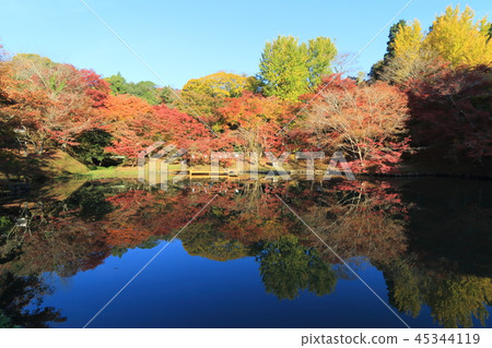 Fall work park 45344119