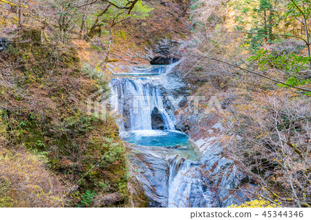 [Yamanashi Prefecture] Nishizawa Valley 45344346