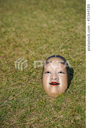 Noumu small surface lawn lower right 45344589
