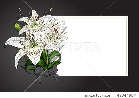 Lily bouquet on black background vector template 45344697