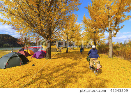 Autumn camping 45345209