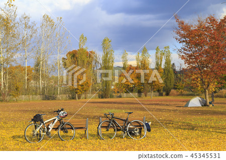 Autumn camping 45345531