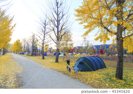 秋天露營 45345820