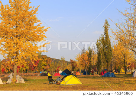 Autumn camping 45345960