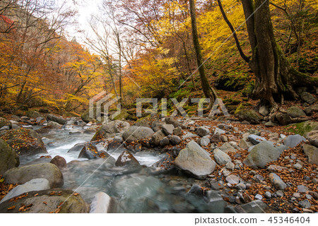 Sukkon谷峽谷 45346404