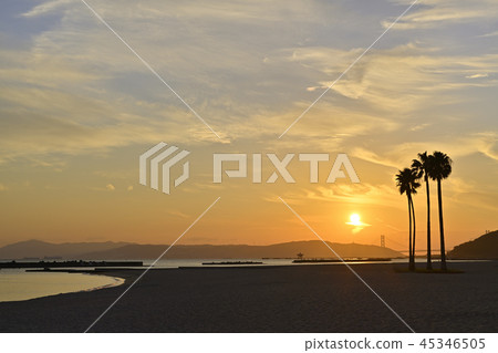 Suma coast in the evening 45346505