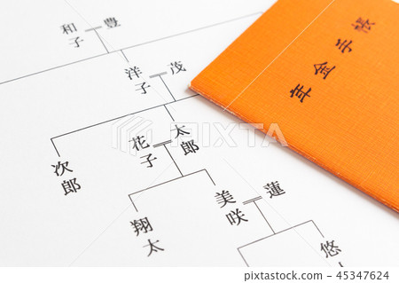 家譜養老金手冊公共養老金養老金領取者無償養老金代際支持代際差距 家譜養老金手冊公共養老金養老金領取者無償養老金代際支持代際差距 45347624