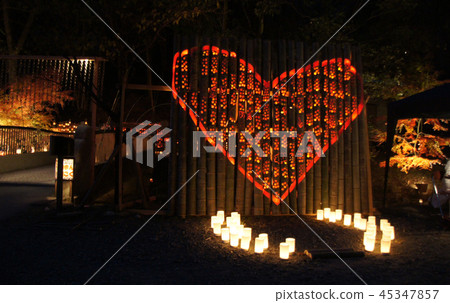 Bamboo light (Take Akari) Bamboo light (Take Akari) 45347857