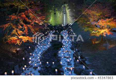 Bamboo light (Take Akari) Bamboo light (Take Akari) 45347863