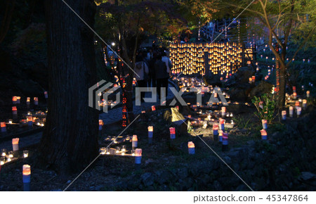 Bamboo light (Take Akari) Bamboo light (Take Akari) 45347864