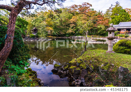 (Shizuoka Prefecture) Mishima City Rakujuen Garden Kohamaike and Rakujukan (Shizuoka Prefecture) Mishima City Rakujuen Garden Kohamaike and Rakujukan 45348175