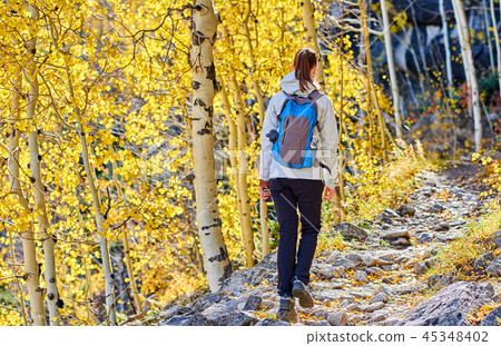 Tourist hiking in aspen grove at autumn 45348402