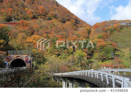 Kashiwabara溫泉城的視圖 45348608